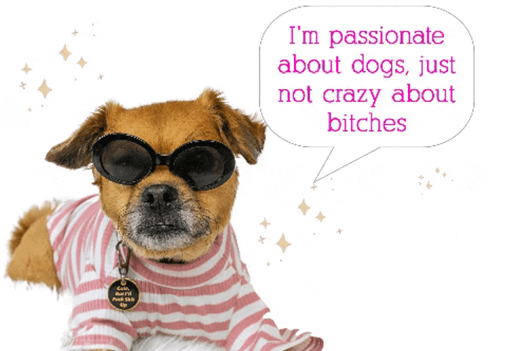 Im Passionate About Dog Mushu GIF