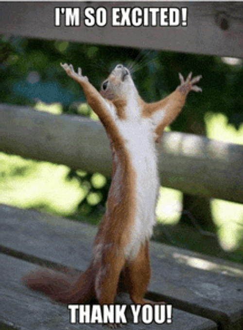 Im So Excited Thank You Meme GIF