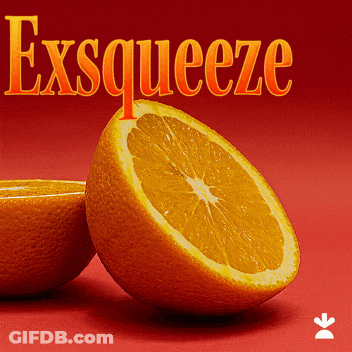Im Sorry What Exsqueeze Me GIF