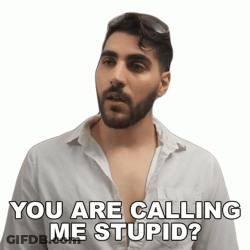 Im Stupid Rudy Ayoub Guitarist GIF