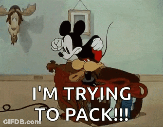 Im Trying To Packing Mickey GIF