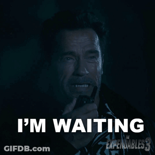 Im Waiting Arnold Schwarzenegger The Expendables GIF