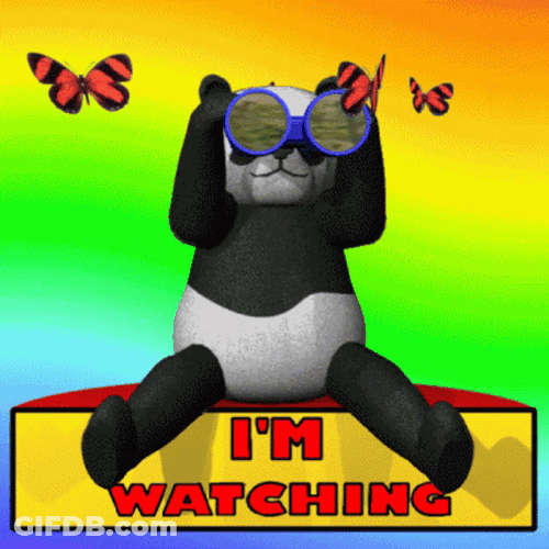 Im Watching You Bear Telescope GIF