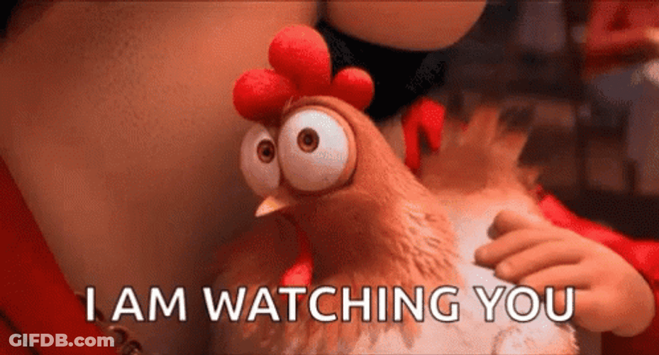Im Watching You Chicken Squinting GIF