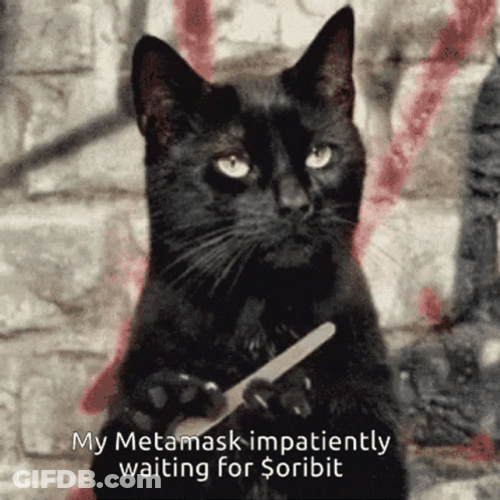 Impatient Bored Black Cat GIF