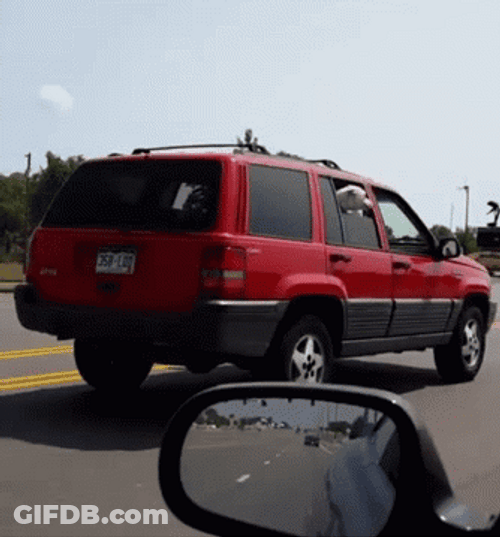 Impatient Dog In Car GIF