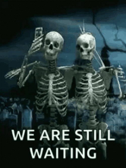 Impatiently Waiting Skeleton Camera Selfie GIF