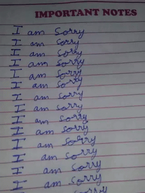 Important Notes I Am Sorry Apology GIF