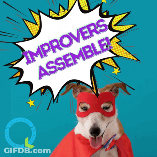 Improvers Assemble Dog Wearing Superhero Costume GIF