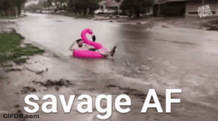 In A Savage Enjoyment GIF