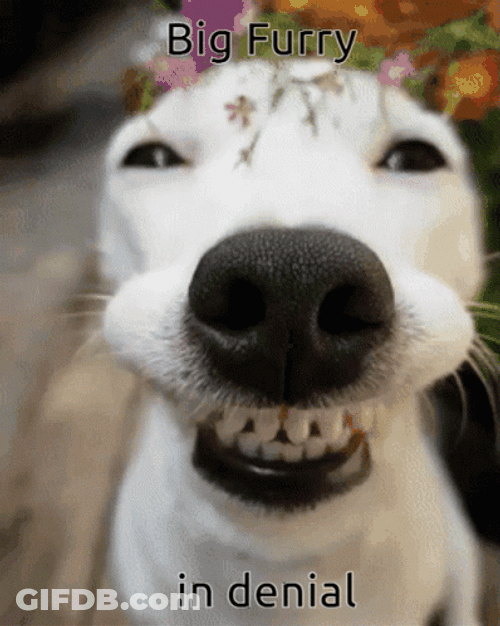 In Denial Cute Mischievous Puppy GIF