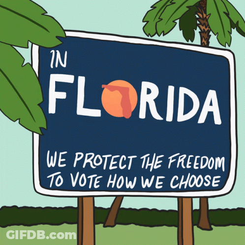 In Florida We Protect The Freedom To Vote How We Choose Florida GIF