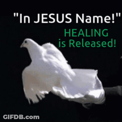 In Jesus Name Healing Is Released Doves GIF