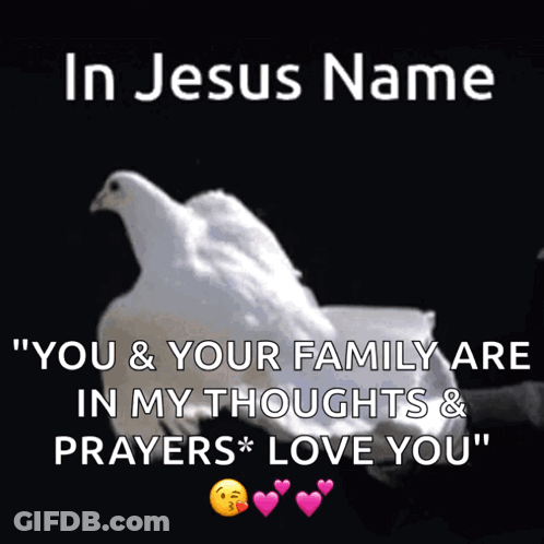 In Jesus Name You And Family Are In My Thoughts GIF