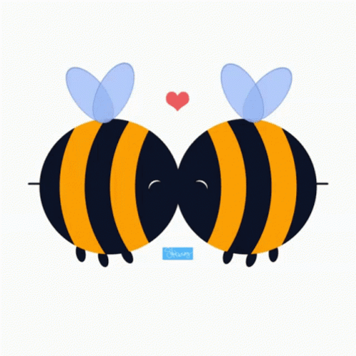 In Love And Kissing Bees GIF