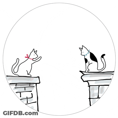 In Love Cats Hearts GIF