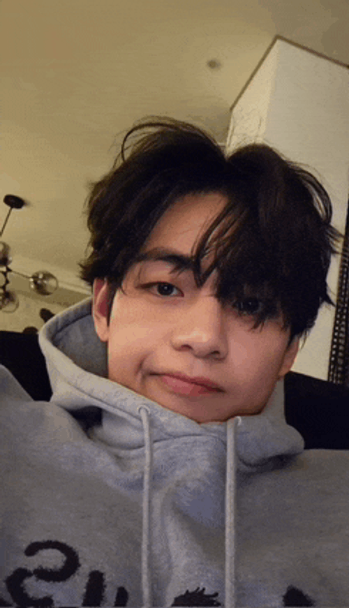 In Love Meme GIF