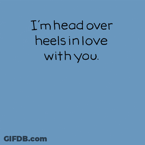In Love With Chippy The Dog GIF