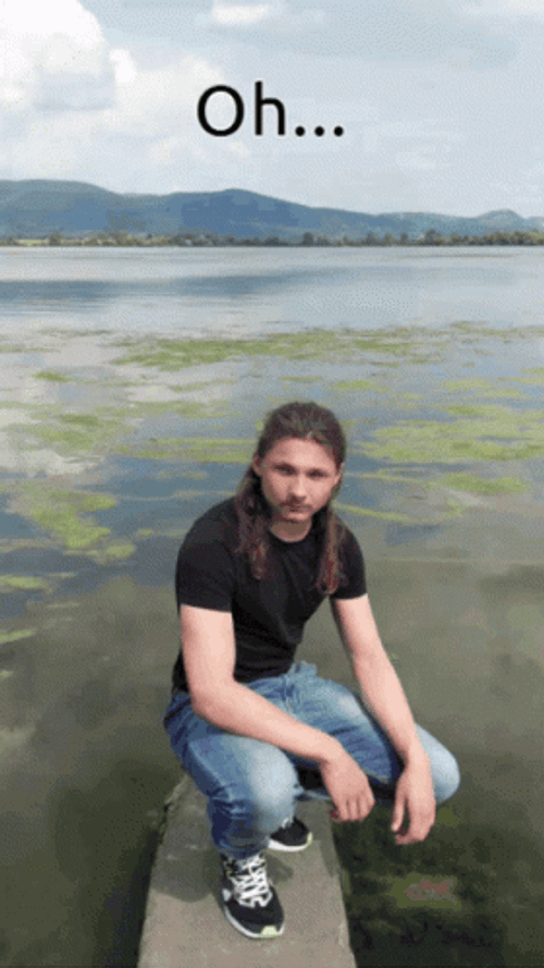 In The Middle Of Swamp GIF
