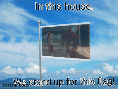 In This House We Stand Up For This Flag Written On A Flag GIF
