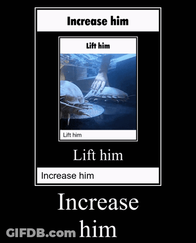 Increase Him Lift Him Increase Him And Lift Him Increase Him GIF
