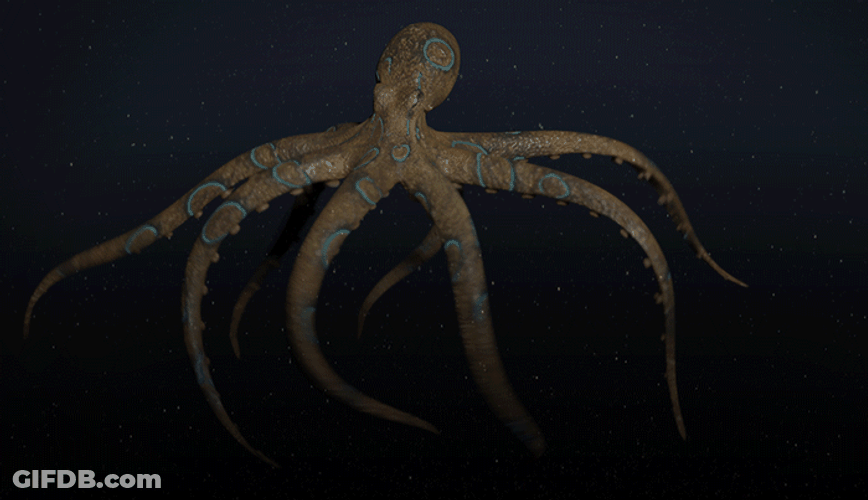 Incredible Glow In The Dark Octopus GIF