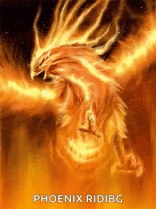 Incredible Phoenix Digital Artwork GIF
