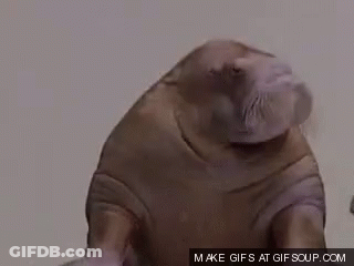 Indeed Indeed Indeed Yes GIF