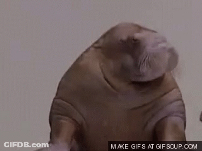 Indeed GIF