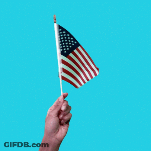Independence Day Flag GIF