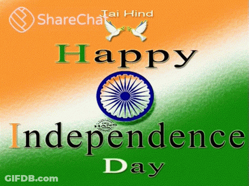 Independence Day Greeting Card With Flag And Doves GIF