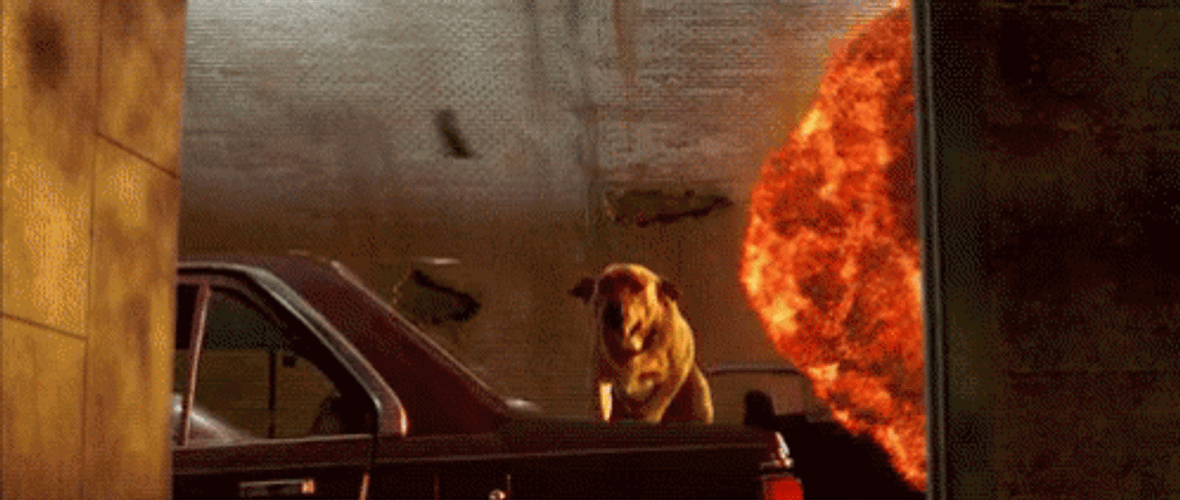 Independence Day Movie Dog Jumps Explosions Behind GIF
