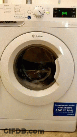 Indesit Washing Machine Sticker GIF