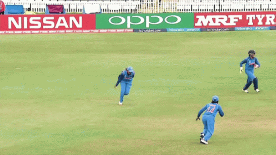 India Cricket Player High Five GIF