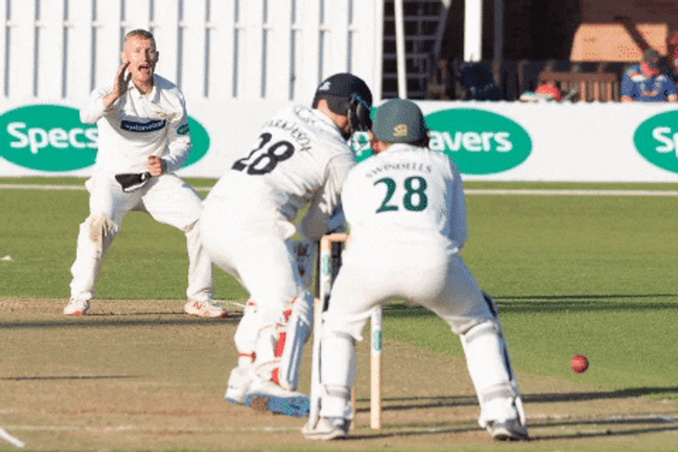 India Cricket Scored GIF