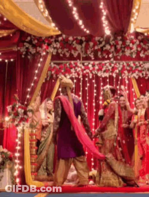 Indian Celebrities Marriage GIF