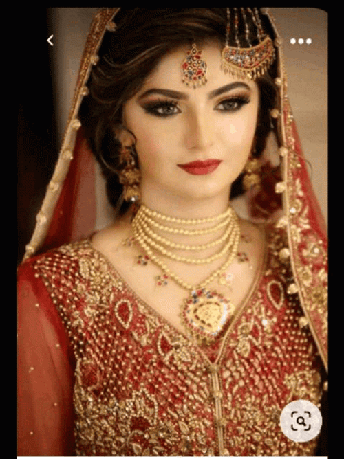 Indian Traditional Bride GIF