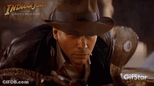 Indiana Jones And The Last Crusade Poster Man In Hat GIF