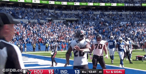 Indianapolis Colts Vs Houston Texans Football GIF