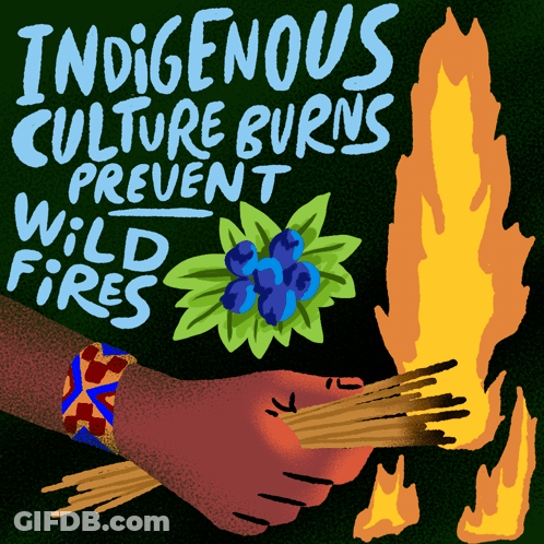 Indigenous Culture Burns Prevent Wild Fires Written On A Green Background GIF