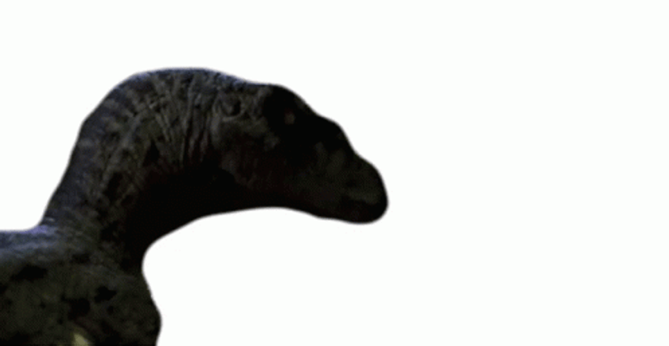Indoraptor Silent And Deadly Stare GIF