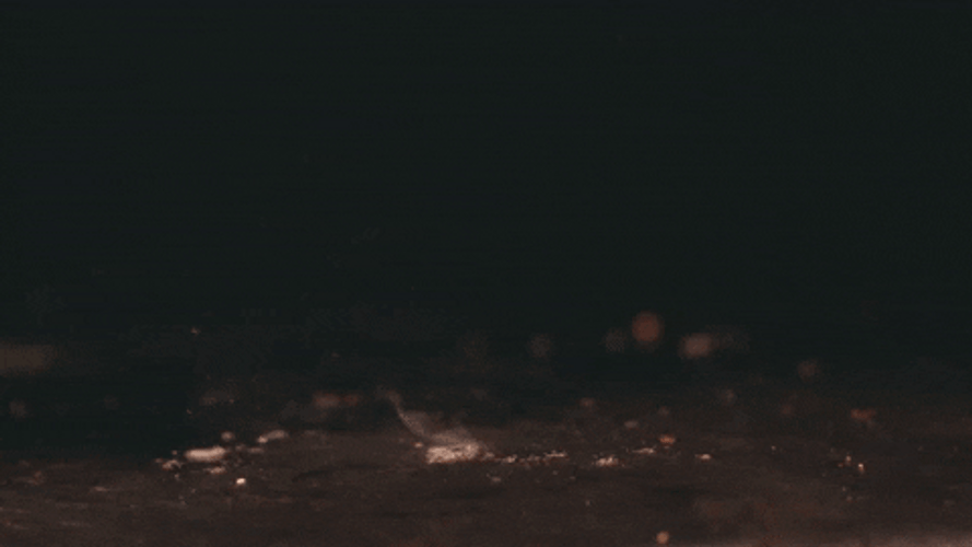 Indulge Tender Filet Mignon GIF