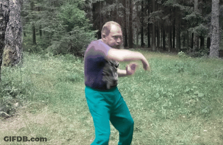 Infinidat Kung Fu Moves GIF