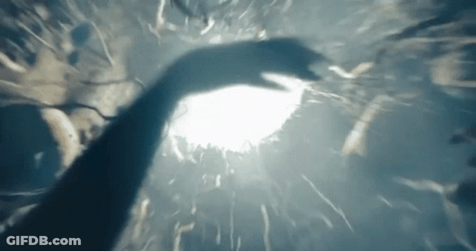 Infinite Fantasy Land Fall Down Rabbit Hole GIF