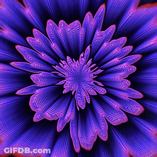 Infinite Purple Flower Blooming Optical Illusions GIF