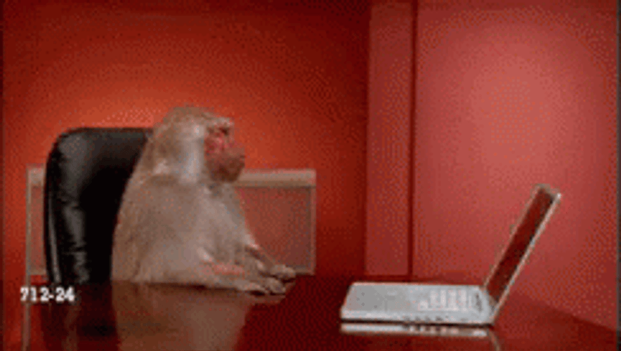 Information Technology Monkey Over It GIF