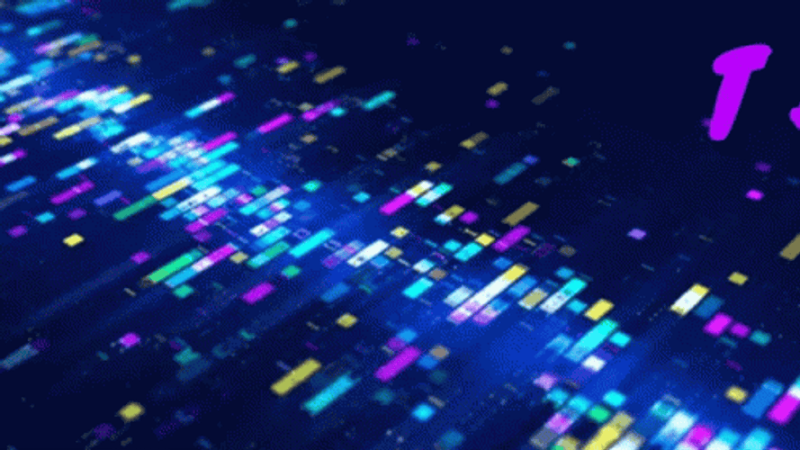 Information Technology Theme SPVT Logo GIF