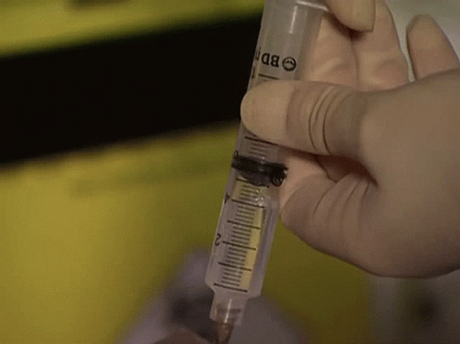Injection Tap Mulheres Apaixonadas GIF