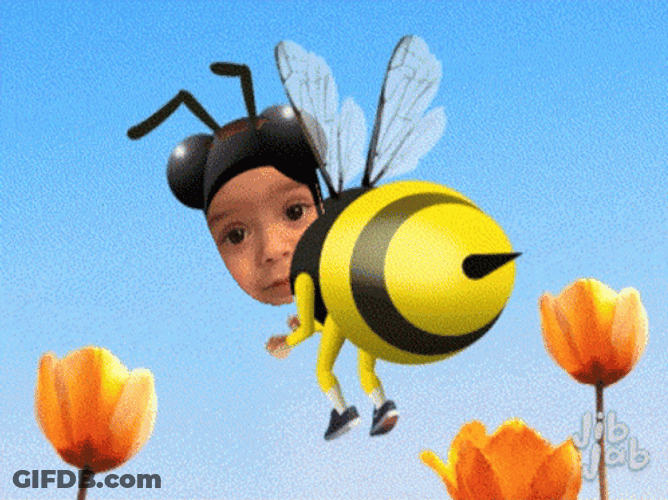 Insect Bee Movie GIF