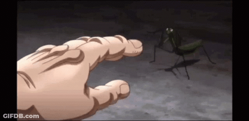 Insect Fight Baki Hanma GIF